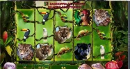 secretoftheamazon.webp