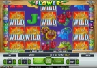 FlowersX239_Jun15.webp