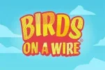 Birds.webp