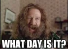 whatday.webp