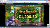 gorilla.webp