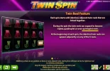 TwinRules.webp