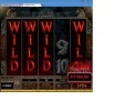 GoWild4wilddesire.webp