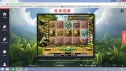betspin.webp