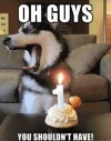 happy  birtday.webp
