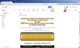raging_bull_wtf.webp