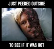 hot.webp