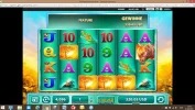 raging rhino 320.webp