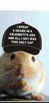 zzzzzzzzzz.GIF zzzzzzzzzz.GIF