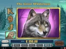 great-wilderness.webp
