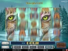 wild-lynx.webp