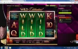 finer reels.webp