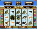 rhino2.webp
