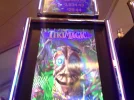 tiki1.webp
