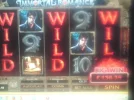 Troy wild desire.webp
