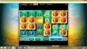 raging rhino 6.webp
