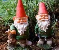 gnomes.webp
