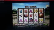 300shields.webp