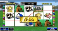 surewincupjuly2015virtualcity5OAKofgreenjockeywithwildduringFS.webp surewincupjuly2015virtualcity5OAKofgreenjockeywithwildduringFS.webp