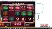 32wild.webp