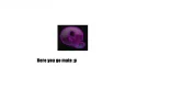 Untitled.webp Untitled.webp