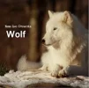 images (1).webp