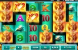 casumo big win.webp