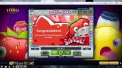 340x Fruit Case.webp 340x Fruit Case.webp