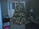 xmastree2015.webp