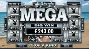 30p bet!! mega huge win! +800x.webp 30p bet!! mega huge win! +800x.webp