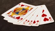 113.webp