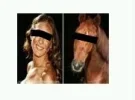 horse3.webp