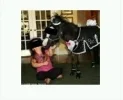 horse2.webp