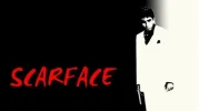 SCF.webp