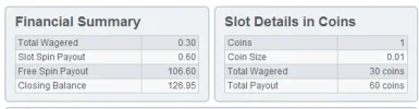 Financial Summary.webp