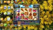 mamonth wins.webp