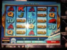 IMG00340-20111223-1922.webp