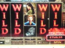4 Reel Wild Desire 2.webp 4 Reel Wild Desire 2.webp