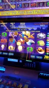 IMG-20160122-WA0006.webp IMG-20160122-WA0006.webp