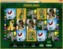 gowild adventure.webp