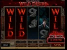 2nd3wild!.webp