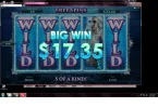 ariana 1.webp