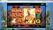 wild.webp