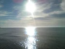 DSC00351[1].webp