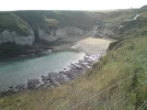 DSC00402[1].webp