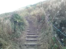DSC00399[1].webp