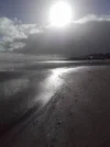 12743586_834325073379888_1421030053294670967_n.webp