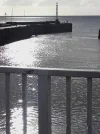 12742082_834171370061925_514278291166531979_n.webp