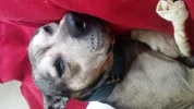 20150810_150447.webp