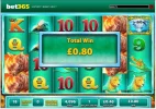 ragingrhinobet365sucksgivenretriggeron8thandfinalspinjusttogetanother10deadspins.webp ragingrhinobet365sucksgivenretriggeron8thandfinalspinjusttogetanother10deadspins.webp